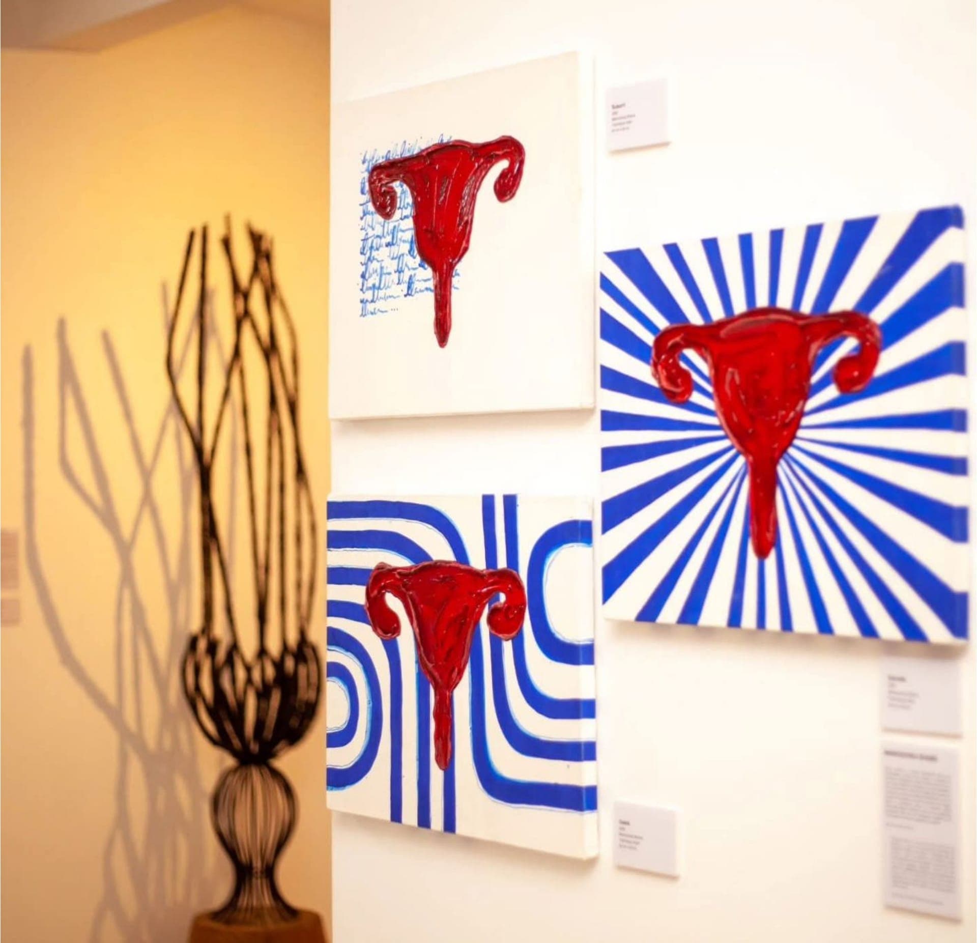Exposition au Musée Paul Ahyi – S'organiser Suffira — photo 5